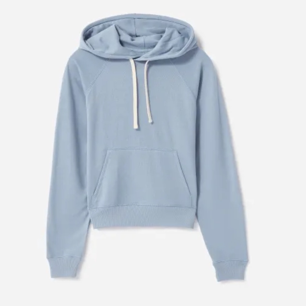 Everlane- The Lightweight French Terry  Hoodie. Size S - Picture 2 of 11